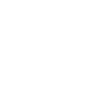audi 02