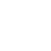 jaguar 02