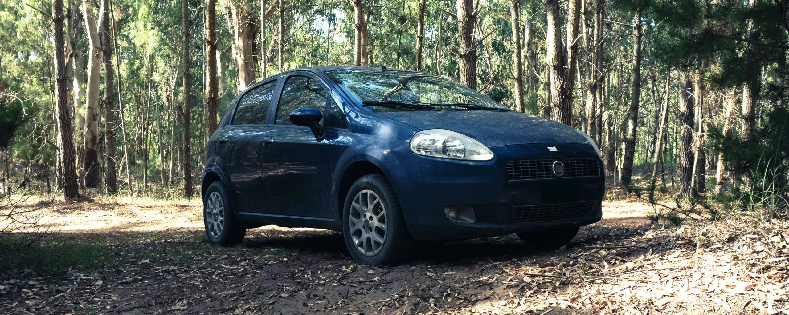 Fiat Repair and Service near Winter Garden & Kissimmee, FL